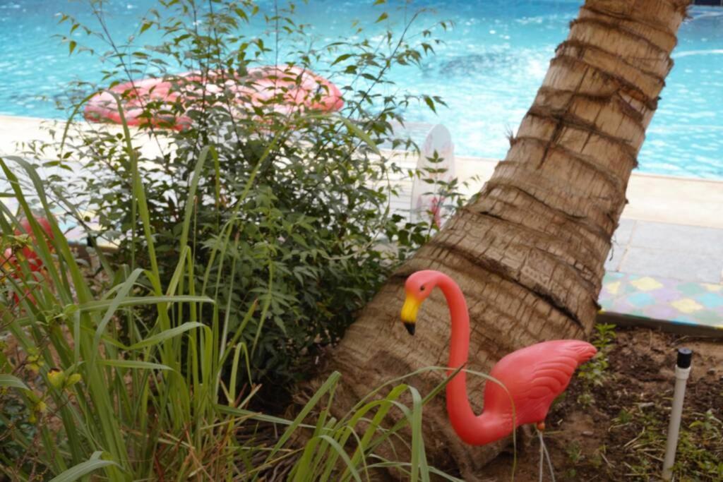 B-Lbait Yanbu Villa Garden Zewnętrze zdjęcie